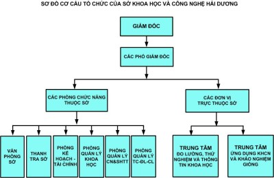 Sơ đồ cơ cấu tổ chức của Sở KH&CN