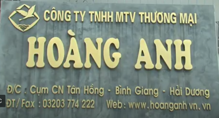 Công ty Hoàng Anh: Áp dụng hệ thống quản lý chất lượng ISO 9001: 2015 nâng cao chất lượng sản phẩm