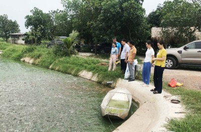 Mô hình nuôi thương phẩm cá trê vàng theo hướng VietGap phù hợp với điều kiện tỉnh Hải Dương