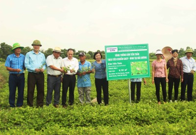 Nghiên cứu khoa học gắn với đổi mới sáng tạo