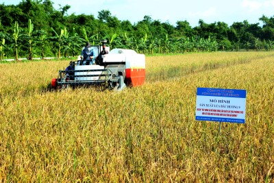 Gương điển hình khởi nghiệp, khởi nghiệp đổi mới sáng tạo thành công