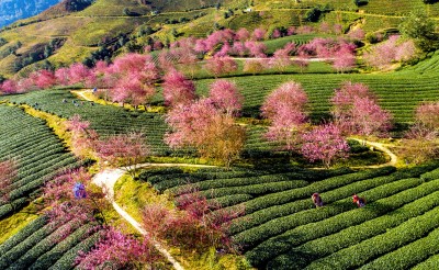 Lắng tiếng Xuân về