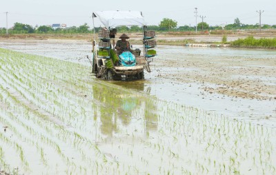 Hải Dương: Đẩy mạnh ứng dụng khoa học và công nghệ cao vào sản xuất nông nghiệp