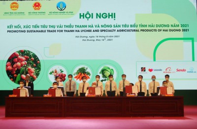 Huyện Thanh Hà: Ứng dụng khoa học công nghệ vào sản xuất nông nghiệp