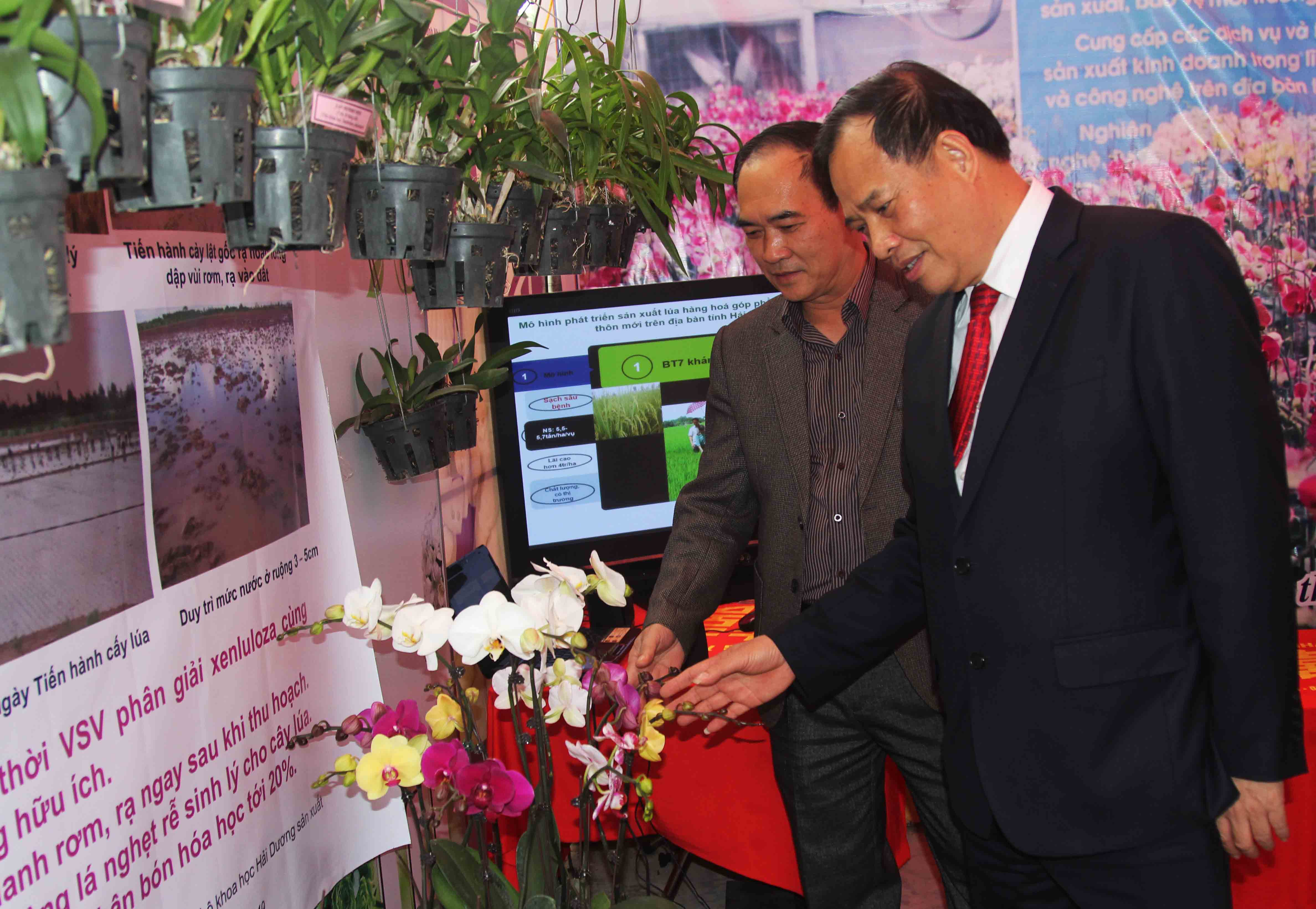 Bí thư Tỉnh ủy Nguyễn Mạnh Hiển thăm gian trưng bày sản phẩm hoa phong lan Hồ Điệp của Trung tâm Ứng dụng tiến bộ khoa học công nghệ. Ảnh Hải Ninh
