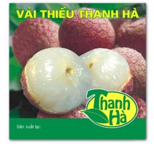 vai_thieu_thanh_ha2