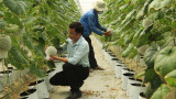 Ứng dụng công nghệ phổ ánh sáng sản xuất cây ăn quả trong nhà màng, nhà lưới
