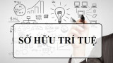 Giải pháp nâng cao hiệu quả thực thi quyền sở hữu trí tuệ tại Việt Nam