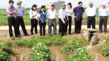 Một số công trình khoa học và công nghệ tiêu biểu năm 2015 - 2016