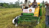 Sáng chế thành công máy gặt đập liên hợp thu hoạch lúa