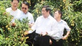 Tổng Công ty Thương mại Hà Nội cam kết mua 2.000 tấn vải VietGAP của Thanh Hà