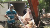 Tiêu hủy 1,5 tấn thịt lợn thối rữa chuẩn bị lên bàn tiệc