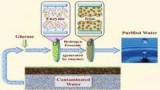 Công nghệ màng lọc nano xử lý nước biển thành nước sinh hoạt