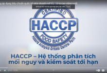 Videos Clips: Chủ động áp dụng tiêu chuẩn quốc tế giúp doanh nghiệp nâng cao năng suất