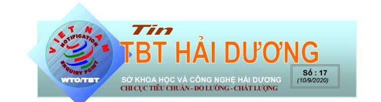 Bản TBT số 24 ngày 25 tháng 12 năm 2024