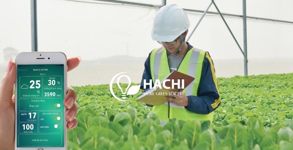 cty hachi