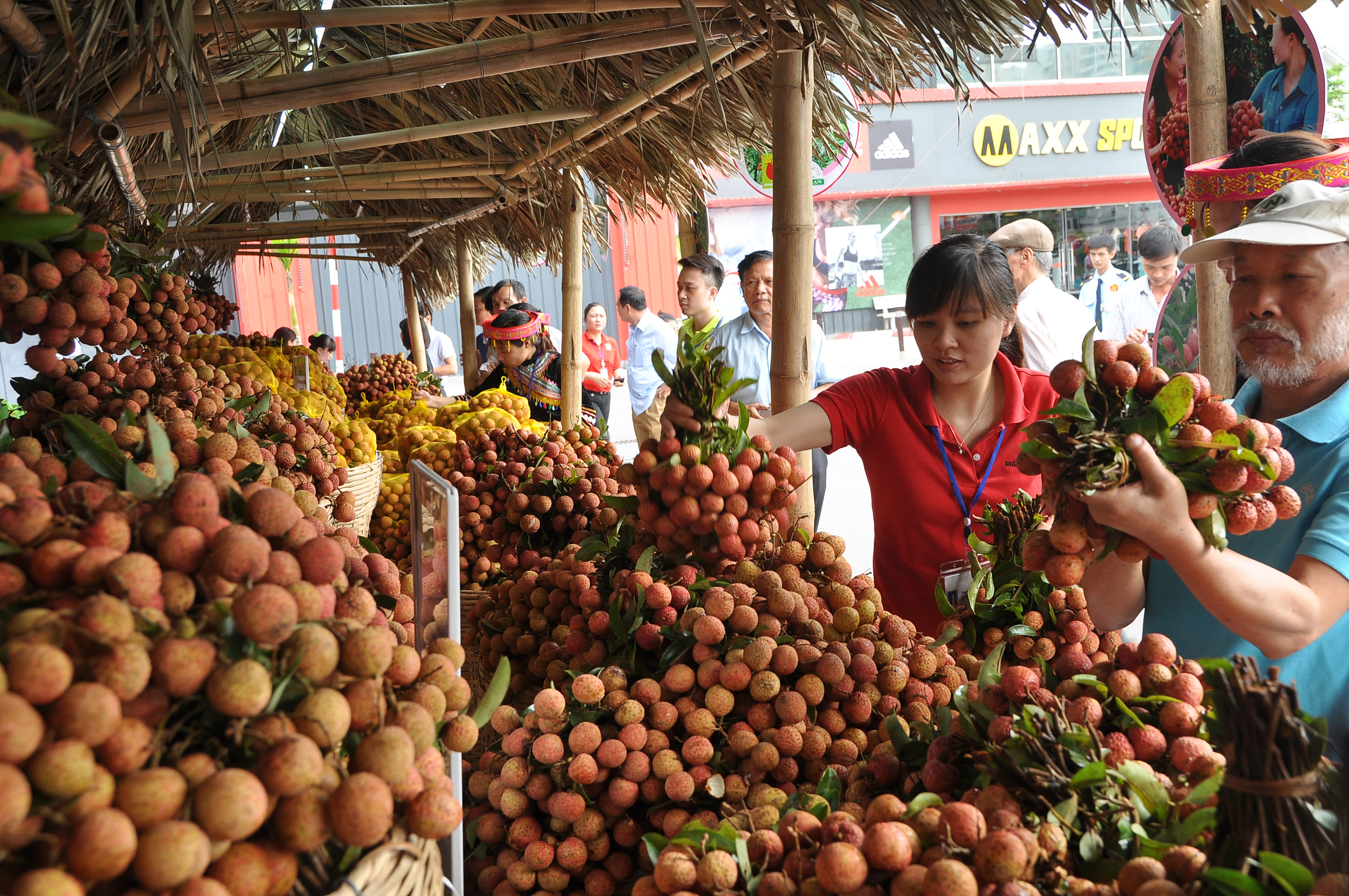 Bảo hộ chỉ dẫn địa lý cho nông sản tại nước ngoài: Bài học từ sản phẩm vải thiều Lục Ngạn