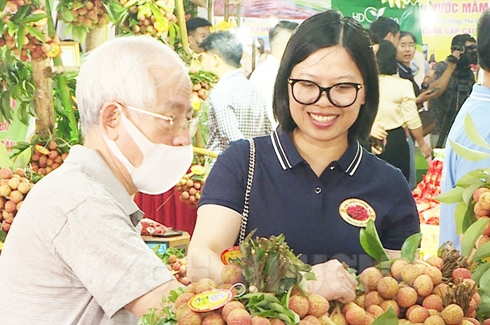 Vải Thiều Hải Dương chinh phục thị trường nội địa