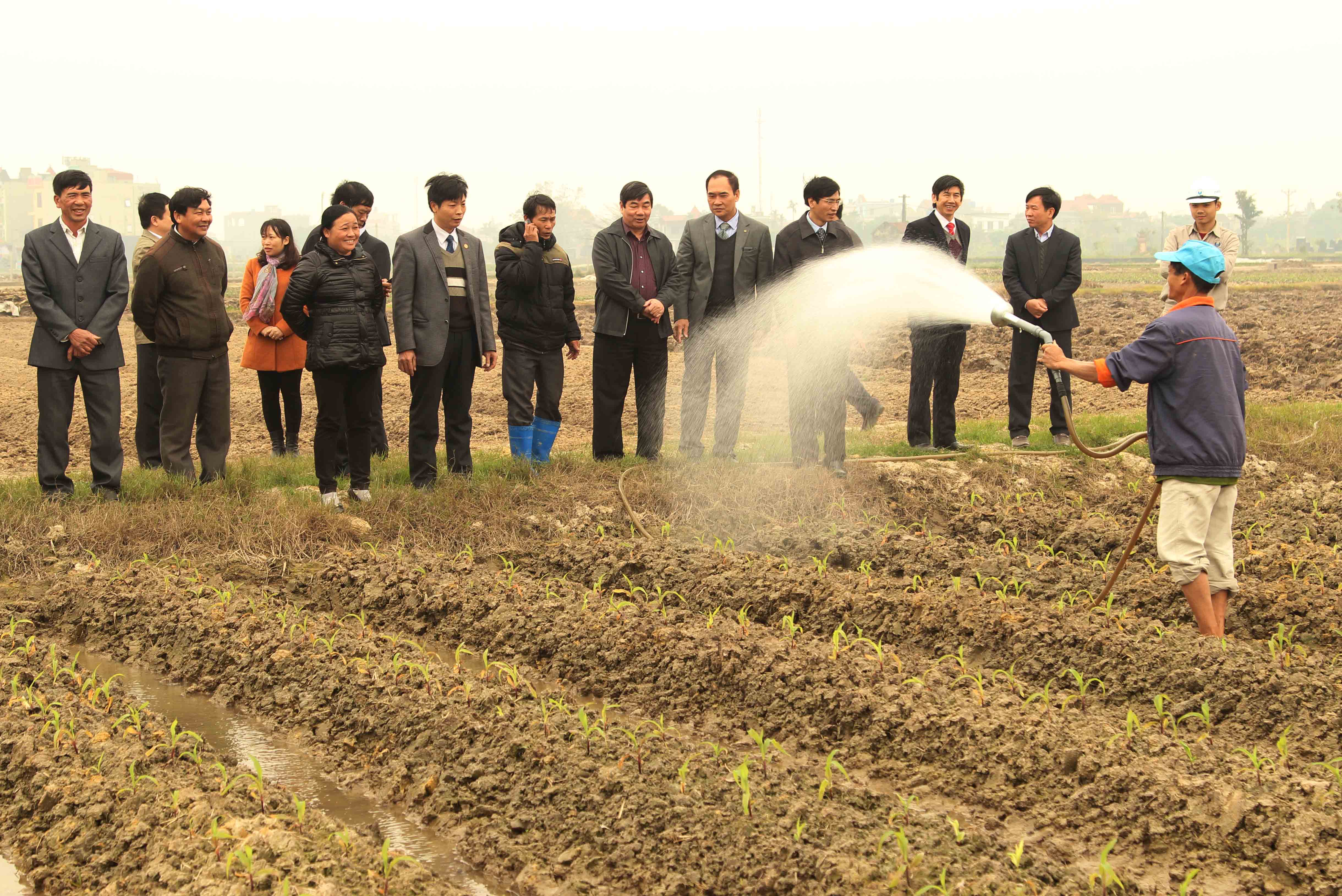 Hải Dương : Đẩy mạnh chuyển giao tiến bộ khoa học vào sản xuất