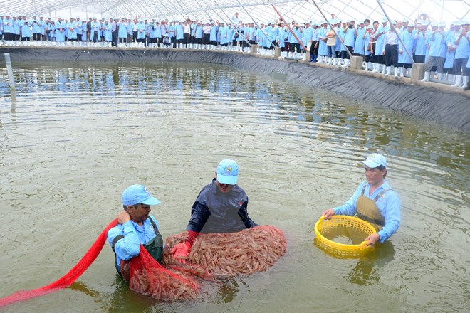 Ứng dụng khoa học, công nghệ để phát triển: Chờ luồng gió mạnh