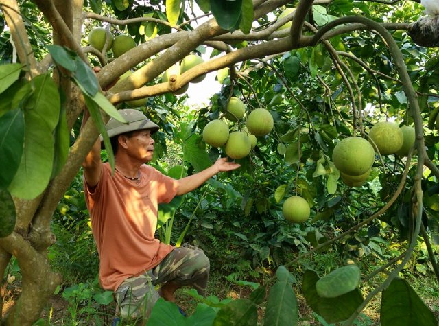 Một số kết quả nghiên cứu khoa học và phát triển công nghệ tỉnh Hải Dương giai đoạn 2011-2016