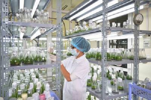 Nguyên tắc xây dựng Cơ sở dữ liệu quốc gia về khoa học và công nghệ