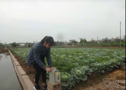 Học sinh lớp 8 chế tạo thành công hệ thống tự động điều khiển máy bơm tưới nước cho cây trồng