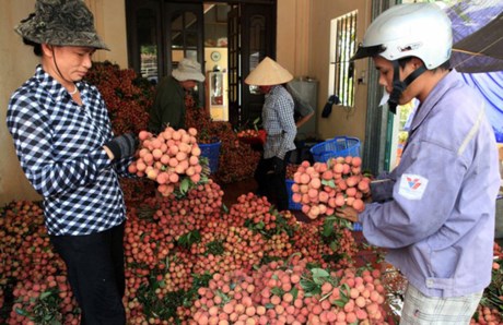 Nâng cao năng suất, chất lượng sản phẩm hàng hóa cho các doanh nghiệp