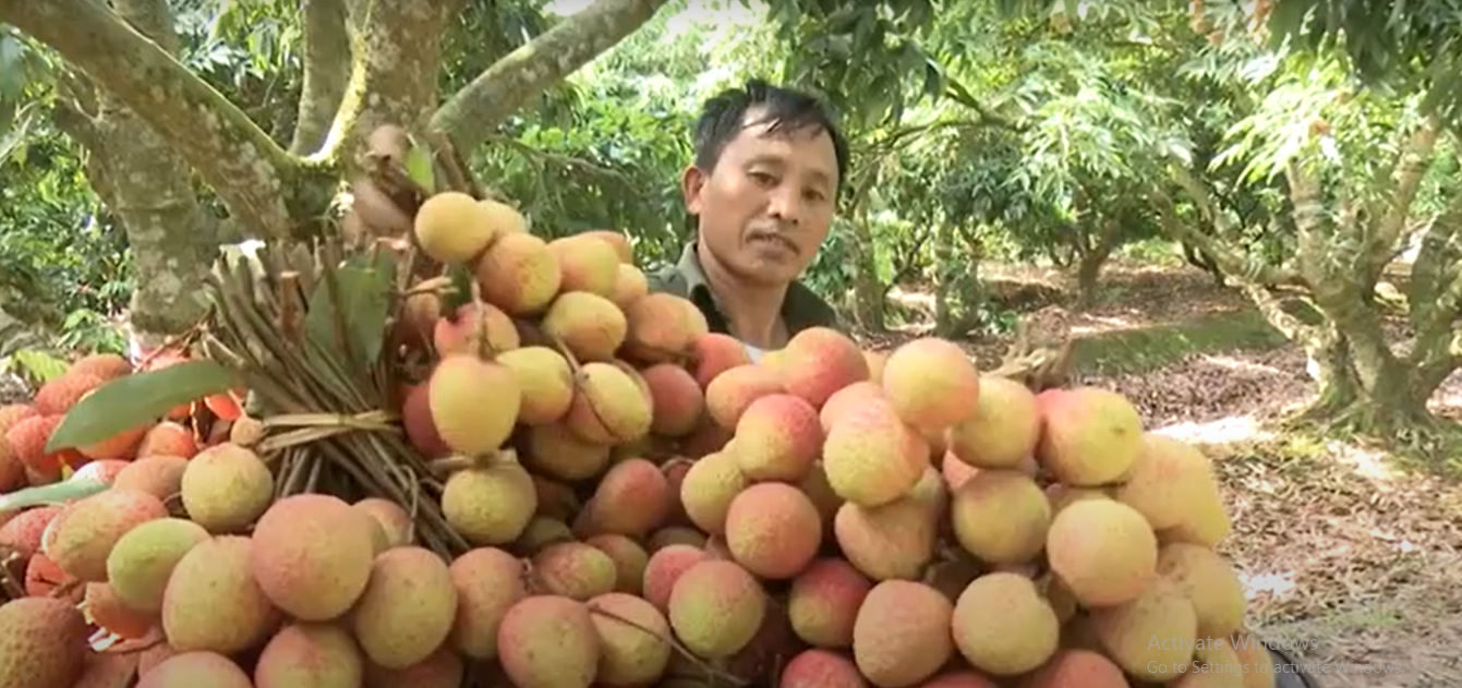 Đẩy mạnh nghiên cứu và chuyển giao tiến bộ vào sản xuất, đời sống