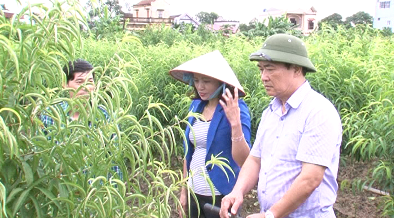 Nghiên cứu xây dựng bản đồ thổ nhưỡng nông hóa phục vụ thâm canh chuyển đổi cơ cấu cây trồng tỉnh Hải Dương