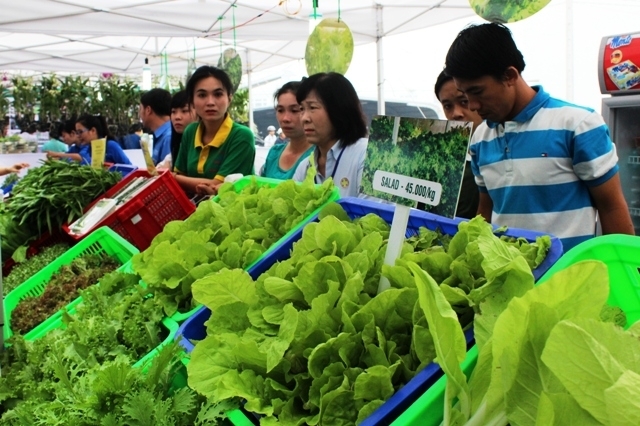 Thiết kế và trồng rau trong nhà lưới