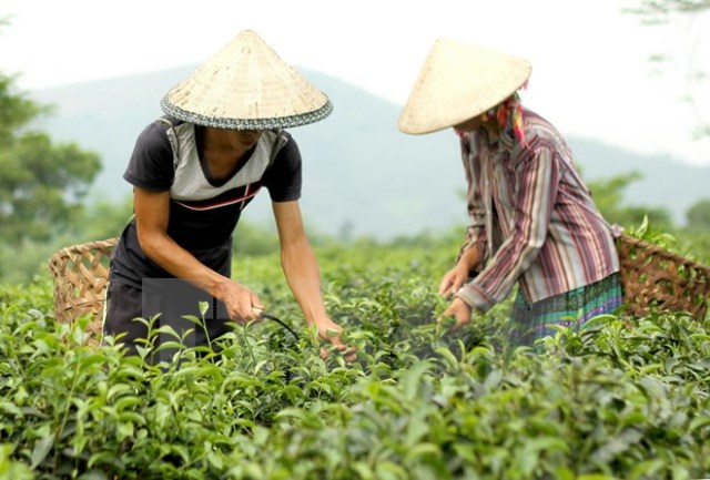 Nhà sáng chế 