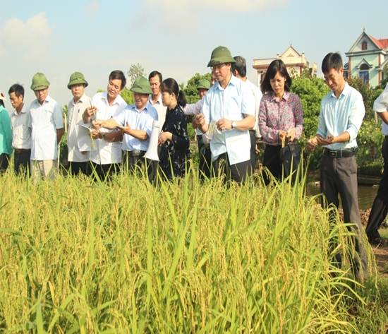 Danh mục các nhiệm vụ khoa học và công nghệ cấp tỉnh bắt đầu thực hiện từ năm 2023 trên địa bàn tỉnh Hải Dương