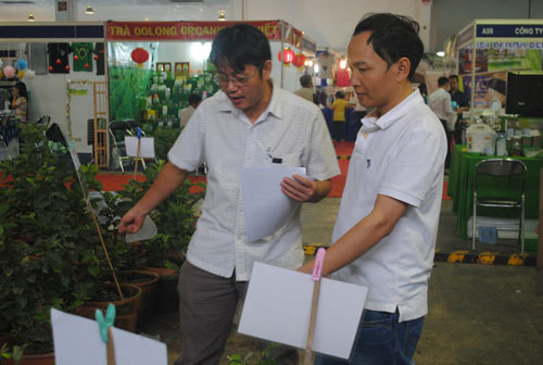 “Ông vua” cây ăn quả làm giàu nhờ ứng dụng khoa học