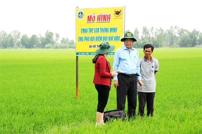 Canh tác lúa thông minh ứng phó với biến đổi khí hậu