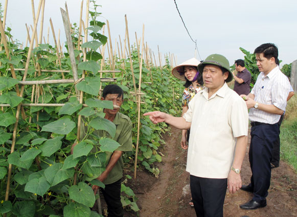  Quỹ Hỗ trợ nông dân lan tỏa và hiệu quả