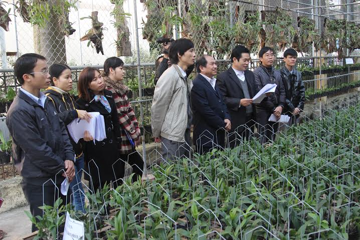 Trung tâm Ứng dụng tiến bộ khoa học: Duy trì và lưu giữ thành công một số giống hoa lan