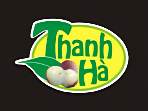 Vải thiều Thanh Hà - Thương hiệu vàng, LOGO và SLOGAN ấn tượng năm 2015