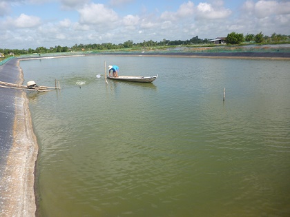 Trung tâm Nghiên cứu và Nhân giống thủy sản Tứ Kỳ: Nâng cao chất lượng sản xuất giống thủy sản