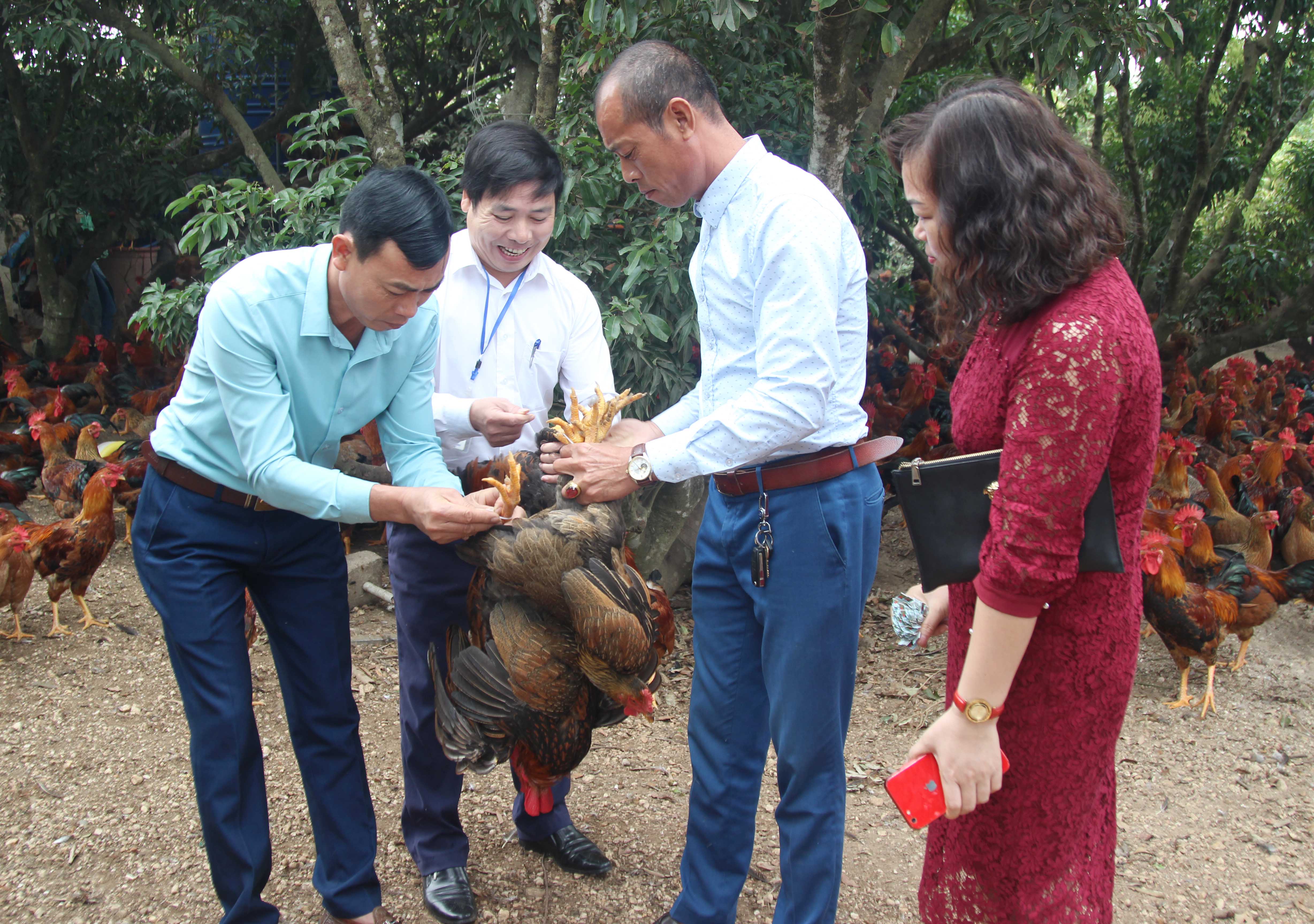 Tăng cường kiểm soát hoạt động buôn bán, vận chuyển, giết mổ động vật và sản phẩm động vật đảm bảo phát triển chăn nuôi