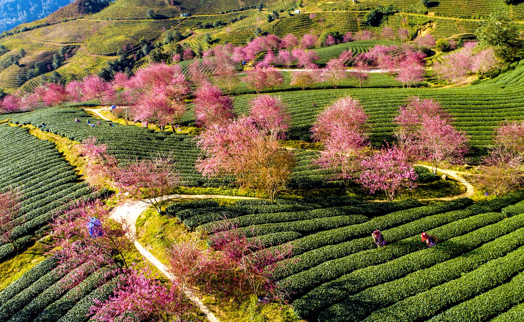 Lắng tiếng Xuân về