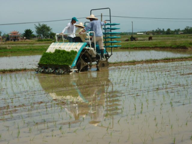 Lần đầu tiên trình diễn máy cấy mạ khay tại miền Bắc