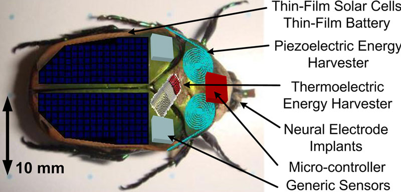 Robot côn trùng thám hiểm môi trường