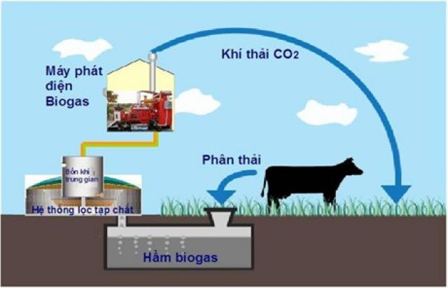 Tăng cường tái sử dụng chất thải nông nghiệp