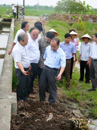 Xử lý rơm, rạ ở Hải Dương: mô hình điểm cho các địa phương