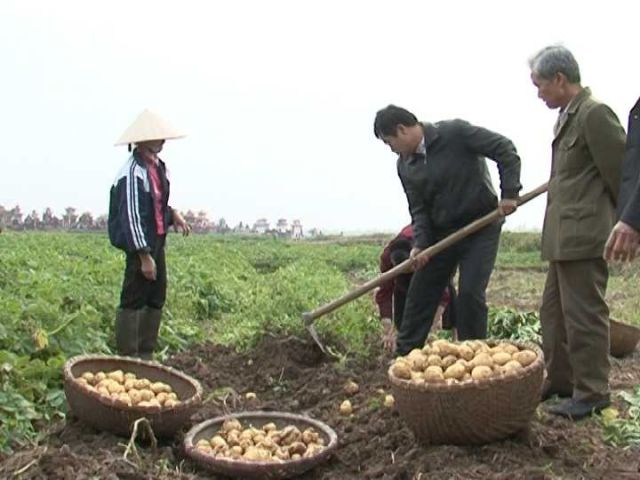 Đưa khoa học công nghệ đến với nông dân