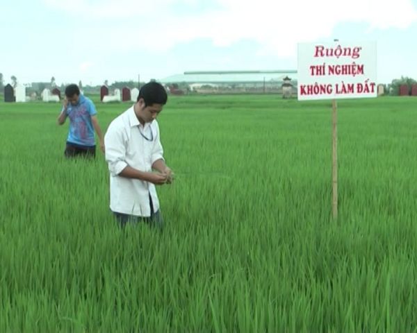 Mô hình cấy lúa không làm đất tại xã Thái Tân, huyện Nam Sách