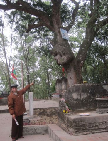 Thị xã Chí Linh: Đa dạng tài nguyên sinh học