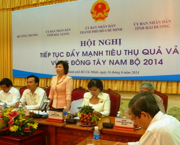 Vải thiều Thanh Hà Nam tiến