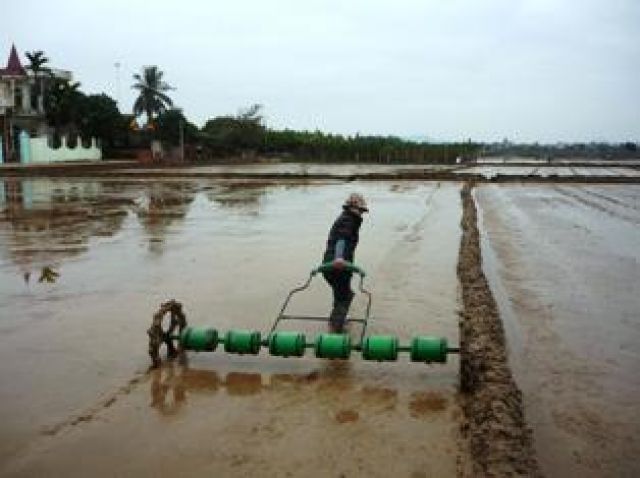 Hải Dương chuẩn bị cho vụ mùa 2012 hiệu quả